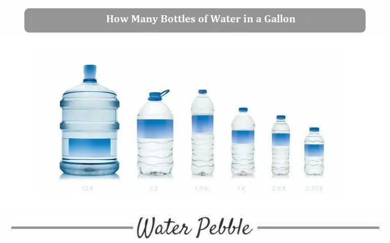 Water bottle