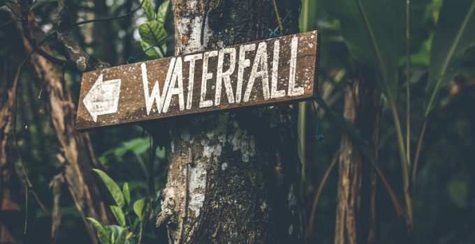 filter water in the wild