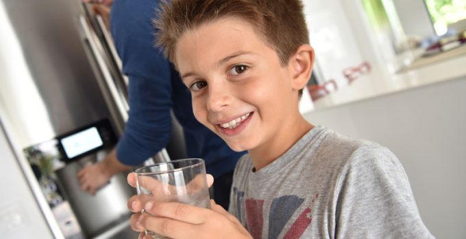 refrigerator water filter