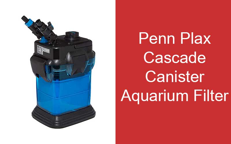 Penn-Plax-Cascade-Canister-Aquarium-Filter-Review